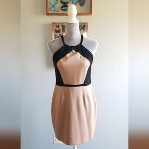 Isabel Lu • Lace Halter Dress